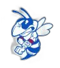 Nashville Community High School logo